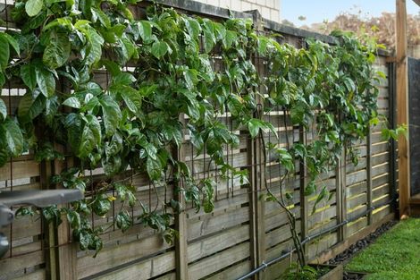 Photo of property in 6/100 Millers Road, Brookfield, Tauranga, 3110