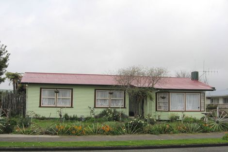 Photo of property in 51 Featherston Street, Levin, 5510