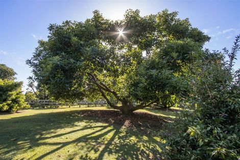 Photo of property in 360 Wharawhara Road, Tahawai, Katikati, 3178