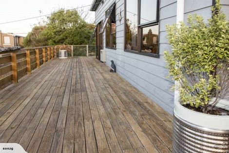 Photo of property in 51 Walker Street, Bluff, 9814