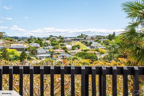 Photo of property in 1139 Cameron Road, Gate Pa, Tauranga, 3112