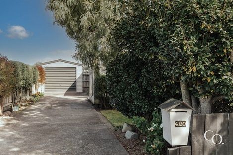 Photo of property in 420 Hemi Street, Raureka, Hastings, 4120