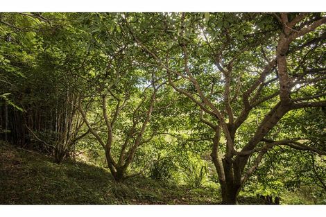 Photo of property in 56 Colville Road, Dargaville, 0310