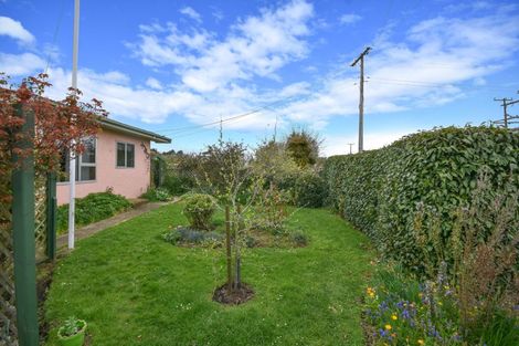 Photo of property in 116 Beach Street, Waikouaiti, 9510