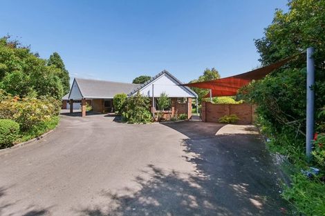 Photo of property in 187 Tanners Point Road, Tanners Point, Katikati, 3177