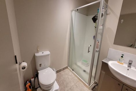 Photo of property in 47 Norwood Drive, Flat Bush, Auckland, 2019