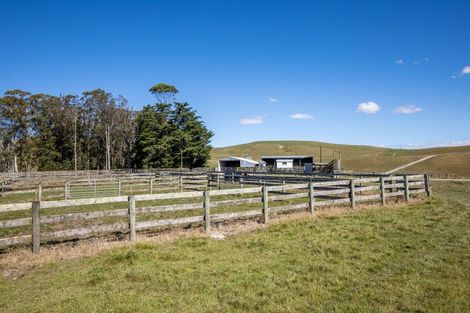 Photo of property in 300 Pattison Road, Akina, Hastings, 4122