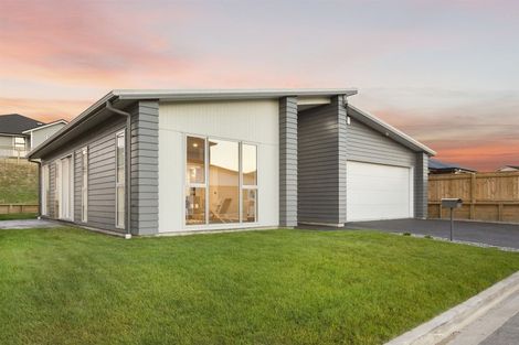 Photo of property in 20 Rotorua Grove, Aotea, Porirua, 5024