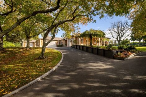 Photo of property in 16 Elder Lane, Bethlehem, Tauranga, 3110