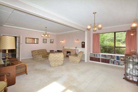 Photo of property in 47 Every Street, Andersons Bay, Dunedin, 9013