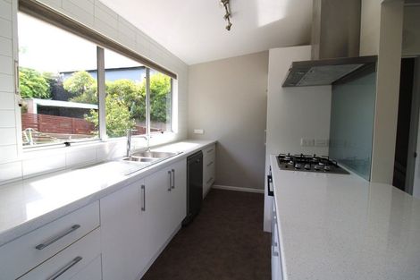 Photo of property in 23 Henry Street, Maori Hill, Dunedin, 9010