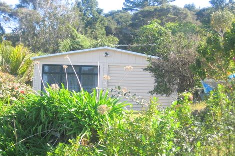 Photo of property in 25 Punga Place, Whitianga, 3510