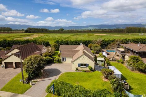 Photo of property in 47 Findlater Street, Matamata, 3400