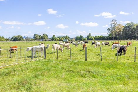 Photo of property in 78 Higginson Road, Ngahinapouri, Hamilton, 3290