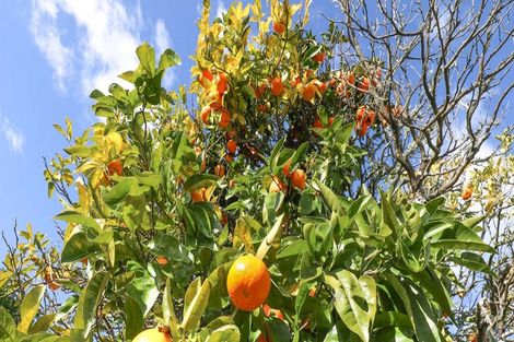 Photo of property in 7 Russell Avenue, Te Aroha, 3320