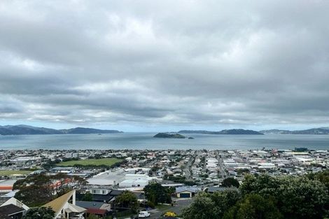 Photo of property in 48 Mulberry Street, Maungaraki, Lower Hutt, 5010