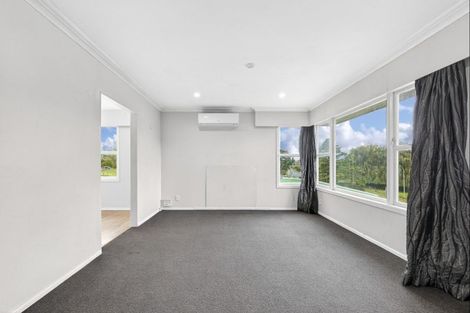Photo of property in 163 Arapuni Street, Putaruru, 3411