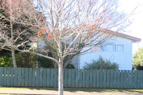 Photo of property in 19a Bunnythorpe Road, Papakura, 2110