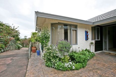 Photo of property in 20b Iona Road, Havelock North, 4130
