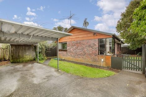 Photo of property in 12 Albert Street, Pukekohe, 2120