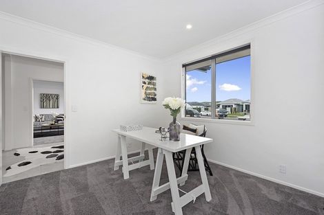 Photo of property in 17 Sydney Place, Flagstaff, Hamilton, 3210