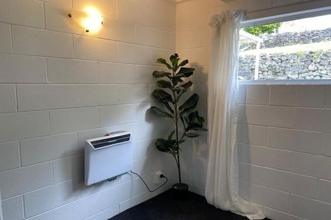 Photo of property in 8 Allen Road, Grey Lynn, Auckland, 1021
