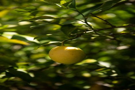 Photo of property in 1 Russell Street, Paeroa, 3600