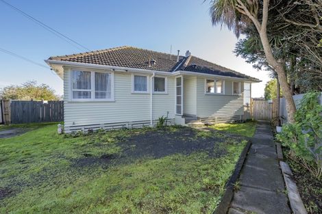 Photo of property in 24 Mahoe Street, Levin, 5510