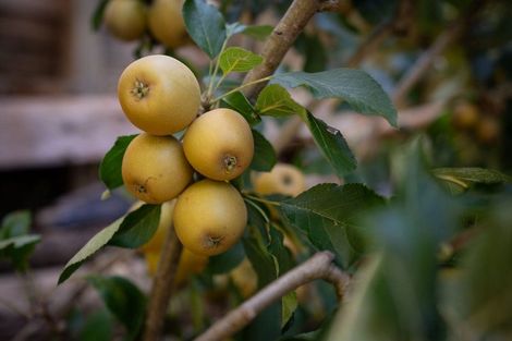 Photo of property in 166 Owen Street, Newtown, Wellington, 6021