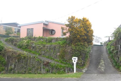 Photo of property in 256 Huatoki Street, Upper Vogeltown, New Plymouth, 4310