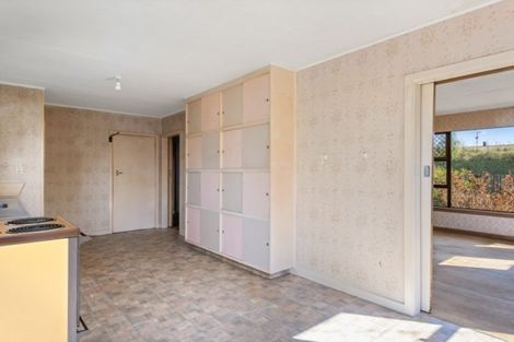 Photo of property in 43 Dillon Street, Blenheim, 7201