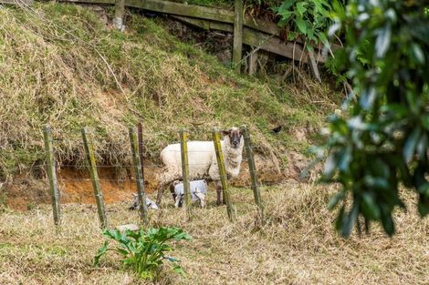 Photo of property in 16a Russell Place, Brookfield, Tauranga, 3110