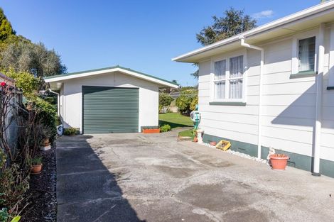 Photo of property in 29 Aorangi Road, Paeroa, 3600