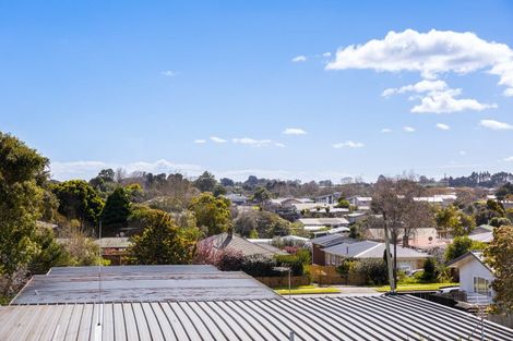 Photo of property in 19 Coronation Avenue, Pukekohe, 2120