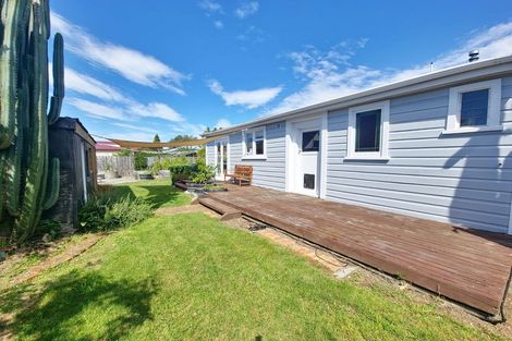 Photo of property in 20 Leitrim Street, Redwoodtown, Blenheim, 7201
