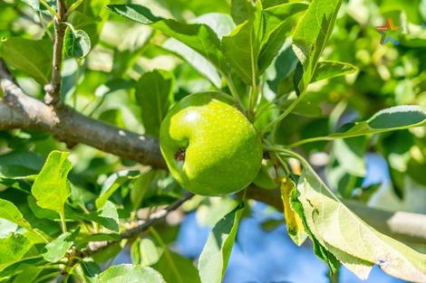 Photo of property in 58 Wakefield Street, Alicetown, Lower Hutt, 5010