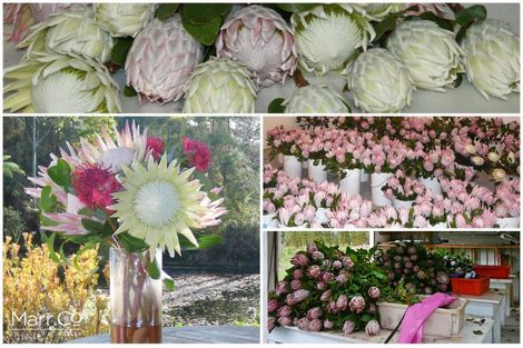 Photo of property in 12 Kaikatia Road, Pukenui, 0484