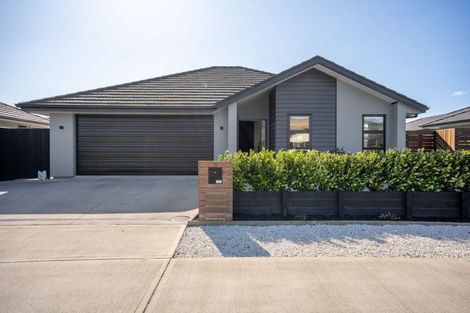 Photo of property in 20 Chertsey Street, Richmond, 7020