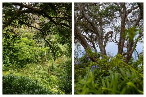 Photo of property in 37 Pohutukawa Drive, Athenree, Katikati, 3177