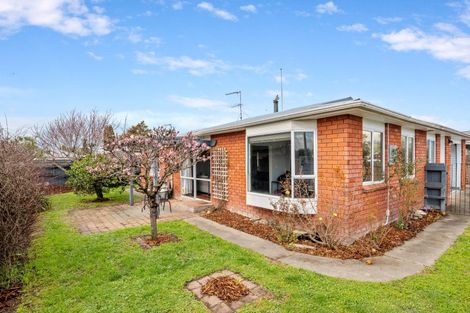 Photo of property in 29 Arthur Baker Place, Redwoodtown, Blenheim, 7201