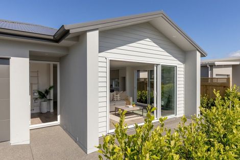 Photo of property in 259 Adler Drive, Ohauiti, Tauranga, 3112