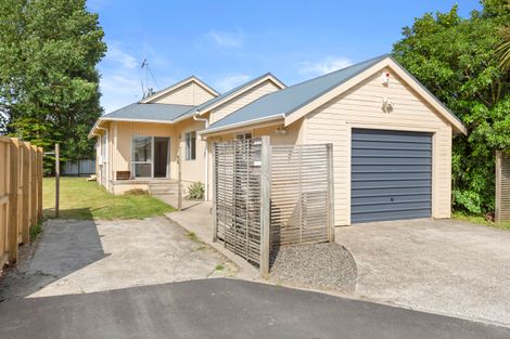 Photo of property in 69a Fifth Avenue, Enderley, Hamilton, 3214