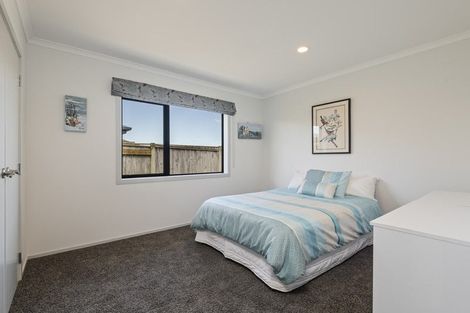 Photo of property in 19 Accolade Street, Feilding, 4702