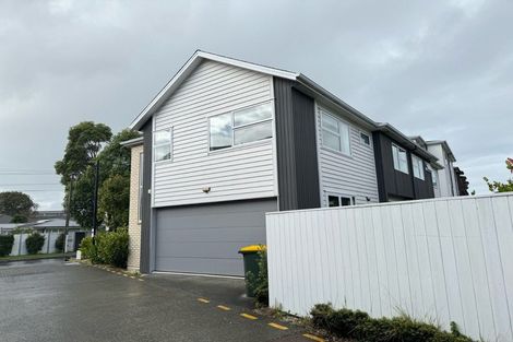 Photo of property in 50 Ti Kouka Lane, Sandringham, Auckland, 1025