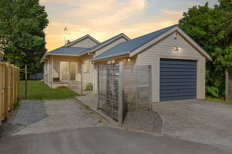 Photo of property in 69a Fifth Avenue, Enderley, Hamilton, 3214