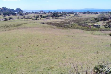Photo of property in Te Punga, 151e Te Punga Road, Whangapoua, Coromandel, 3582