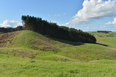 Photo of property in 495 Glenmohr Road, Waipu, 0582