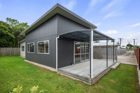 Photo of property in 52a Mako Mako Road, Levin, 5510