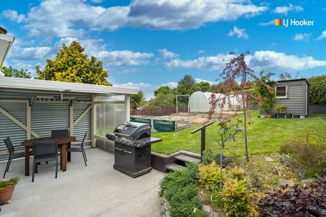 Photo of property in 5 Cuba Street, Calton Hill, Dunedin, 9012