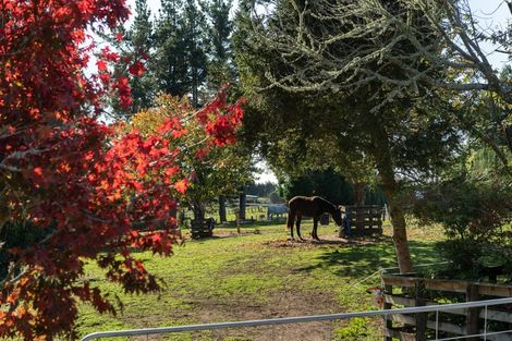 Photo of property in 1138 Omanawa Road, Omanawa, Tauranga, 3171